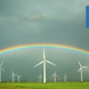 Illustration for article titled The Biggest Climate Wins of 2020